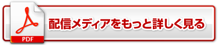 配信メディアをもっと詳しく見る