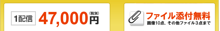 1配信39,900円(税込)　ファイル添付オプション10,500円(税込)