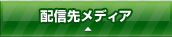 配信先メディア